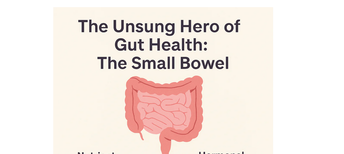 The Unsung Hero of Gut Health: The Small Bowel