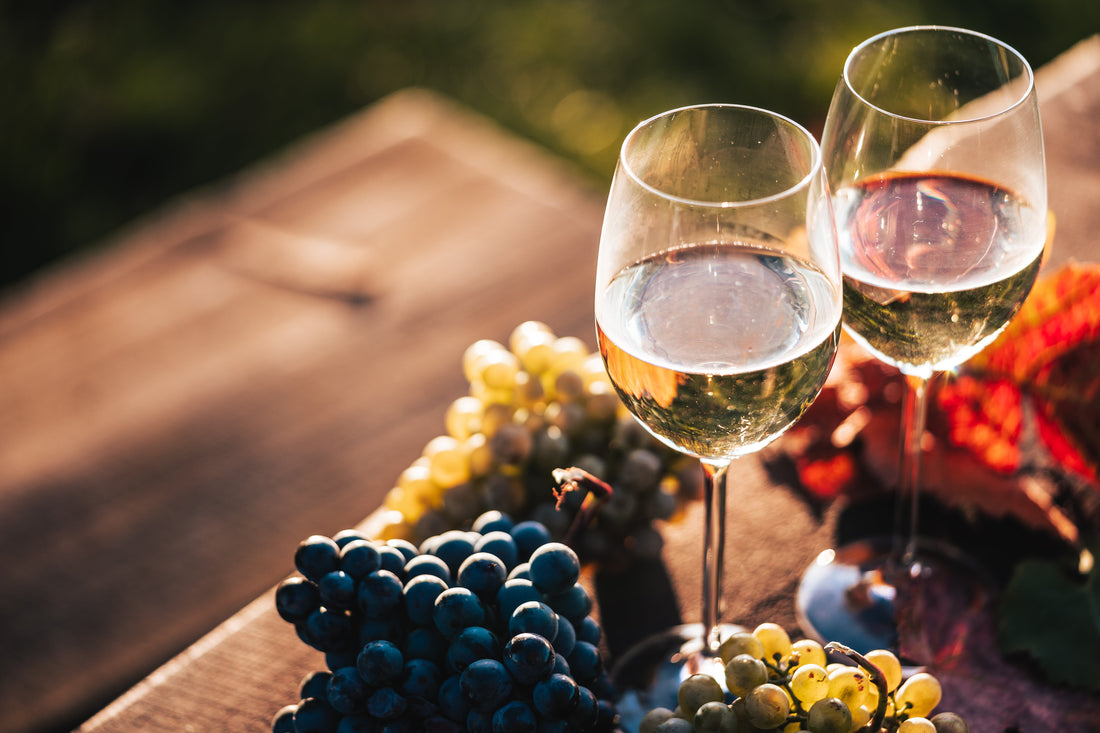 FermentPro: The Unexpected Wine Cooler Your Kitchen’s Been Missing