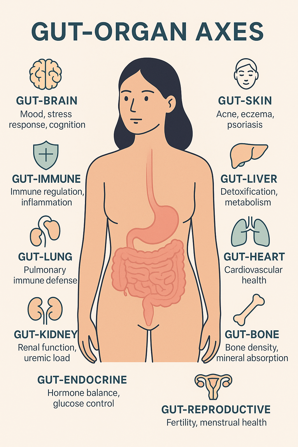 Gut Health: The Foundation of Whole-Body Wellness