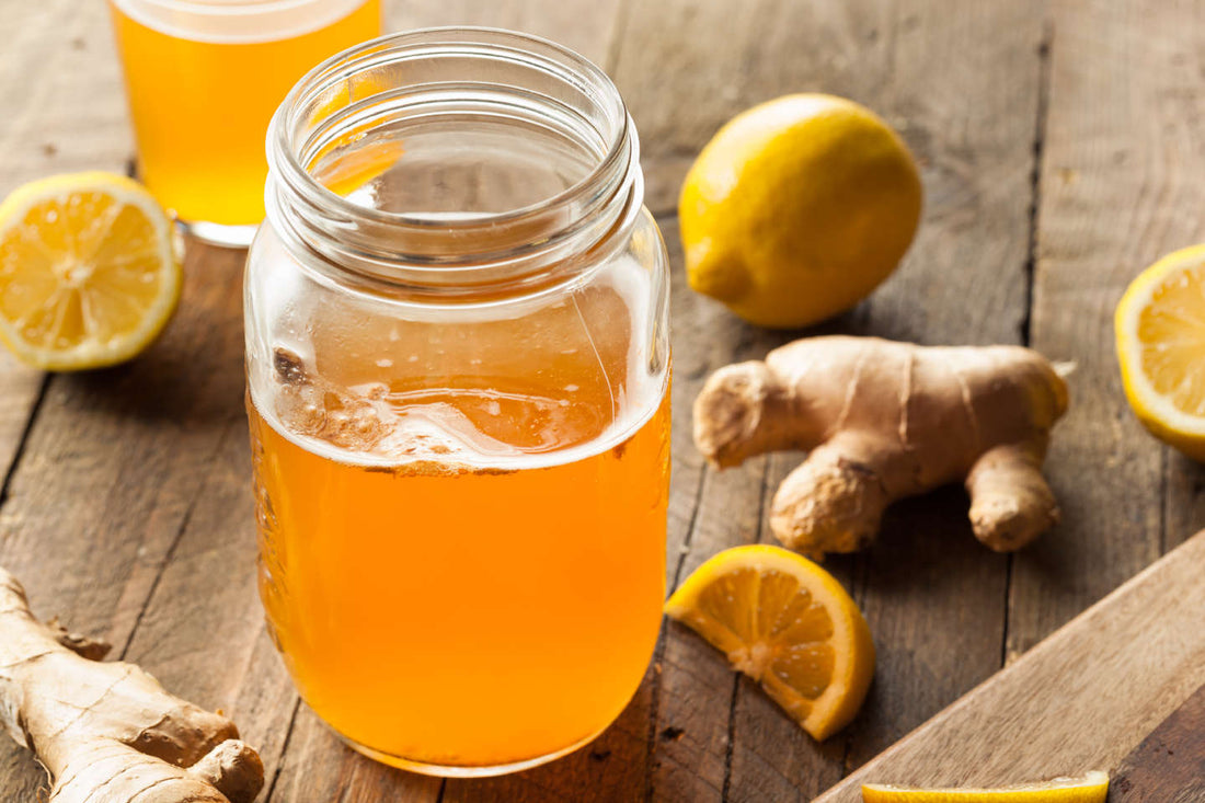 How to Make Kombucha from Home with FermentPro