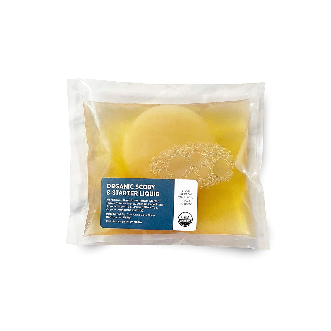 Healthy kombucha SCOBY with starter liquid for home brewing