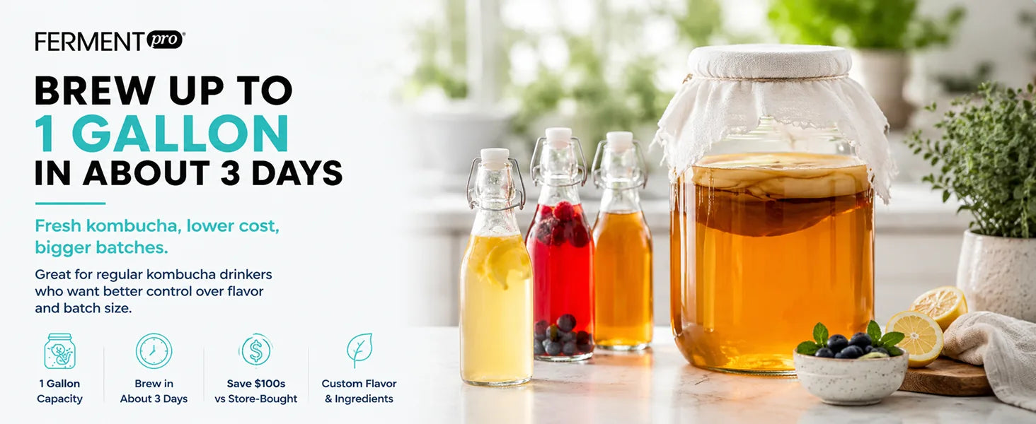 Homemade kombucha in glass jars